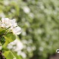 IMG_756843