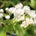 IMG_756845
