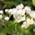 IMG_756847