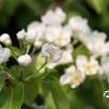 IMG_756849