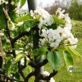 IMG_756850