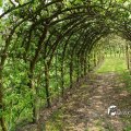 IMG_756851