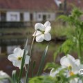 IMG_756856