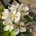 IMG_756858