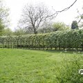 IMG_756859