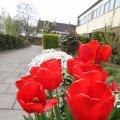 IMG_757938