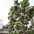 IMG_757940
