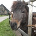 IMG_757947