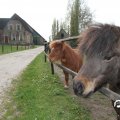 IMG_757948