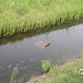 IMG_757950