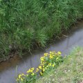 IMG_757952