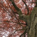 IMG_757957