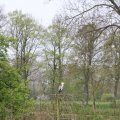 IMG_757984