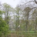 IMG_757985