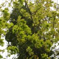 IMG_757992