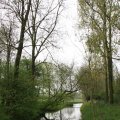 IMG_757999