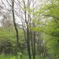 IMG_758001