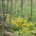 IMG_758010