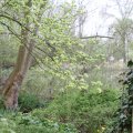 IMG_758012