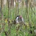 IMG_758019