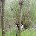 IMG_758036