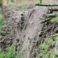 IMG_758042
