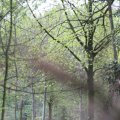IMG_758048