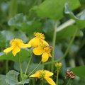 IMG_758054