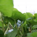 IMG_758061