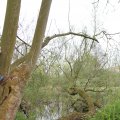 IMG_758085