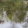 IMG_758091