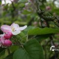 IMG_758123