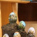IMG_757725