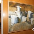 IMG_757758