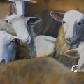 IMG_757772