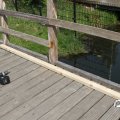 IMG_759118