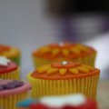 IMG_760475