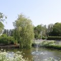 IMG_761438