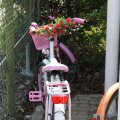 IMG_760151