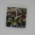 IMG_760194
