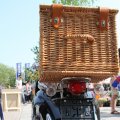 IMG_760251