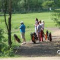 IMG_761471
