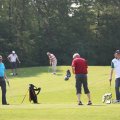 IMG_761523