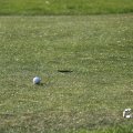 IMG_761582