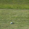 IMG_761588