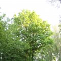 IMG_761735