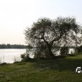 IMG_761737