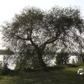 IMG_761738