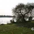 IMG_761739