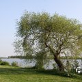 IMG_761740